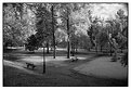 Picture Title - Empty park