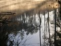 Picture Title - In Reflective Mode