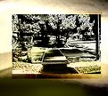 Picture Title - within the picture