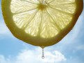 Picture Title - Limon