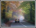 Picture Title - ON a Misty autumn day...