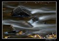 Picture Title - Fall Stream