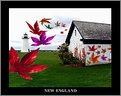 Picture Title - new england