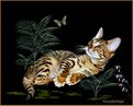 Picture Title - Bengal and Butterfly IV