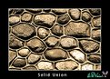 Picture Title - Solid Union