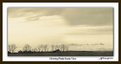 Picture Title - Morning Prairie Scenic View