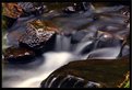 Picture Title - Stream