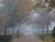 Haze in quad