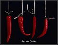 Picture Title - Red Hot Chillies