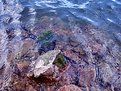 Picture Title - Water and rock
