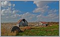 Picture Title - Barns of yesteryear