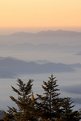 Picture Title - Clingmans Dome 2