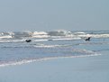 Picture Title - Scheveningen strand