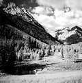 Picture Title - Mountain and Meadow