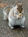 Picture Title - me and my nuts