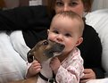 Picture Title - Girl Eats Dog - News at 11:00