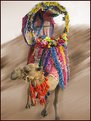 Picture Title - Bride Camel