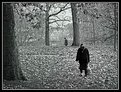 Picture Title - A walk in the park