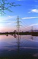 Picture Title - Pylons