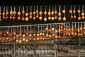 Picture Title - Drying kakis