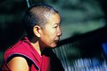 Picture Title - A monk at Dharamsala