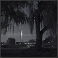 Picture Title - Postcard from DC