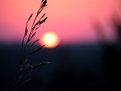 Picture Title - sunset