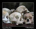 Picture Title - The Killing Fields