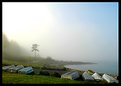 Picture Title - mist over grassy point 1