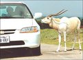 Picture Title - Glad To Meet You
