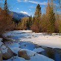 Picture Title - An Alpine Winter Creek