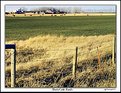 Picture Title - Alberta Cattle Ranch