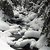 Snow 2004