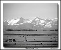 Picture Title - Alberta Scenic View