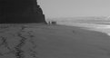 Picture Title - A walk with friends