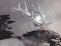 Picture Title - Elk overlay