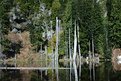 Picture Title - June lake reflections