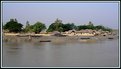 Picture Title - Sundarbans