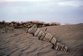 Picture Title - Sand Fence