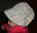 Picture Title - The bonnet