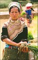 Picture Title - Bac-Ha Terraced Field 08