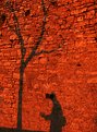 Picture Title - Friend's shadow with tree