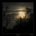 Picture Title - Misty Moon