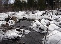 Picture Title - waters edge