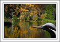 Picture Title - A wistful look back at autumn