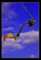 Picture Title - The Kite