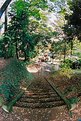 Picture Title - Path Down to Torii