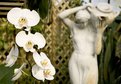 Picture Title - Orchids with Statue
