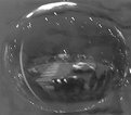 Picture Title - A spherical reflection of time
