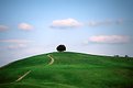 Tuscany loneliness